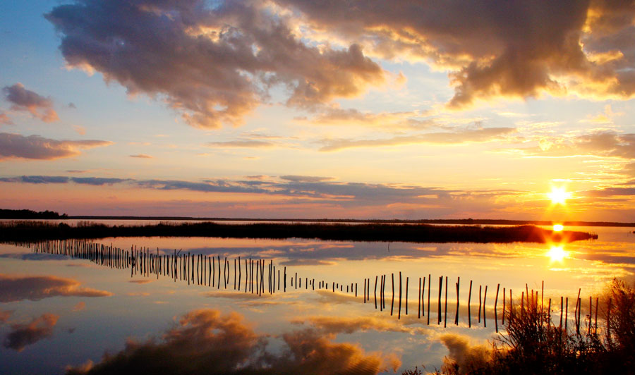 Blackwater National Wildlife Refuge, Maryland