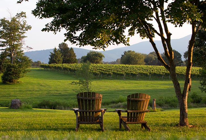 Weinanbau in Virginia