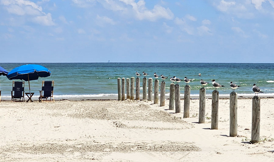 Port Aransas Beach