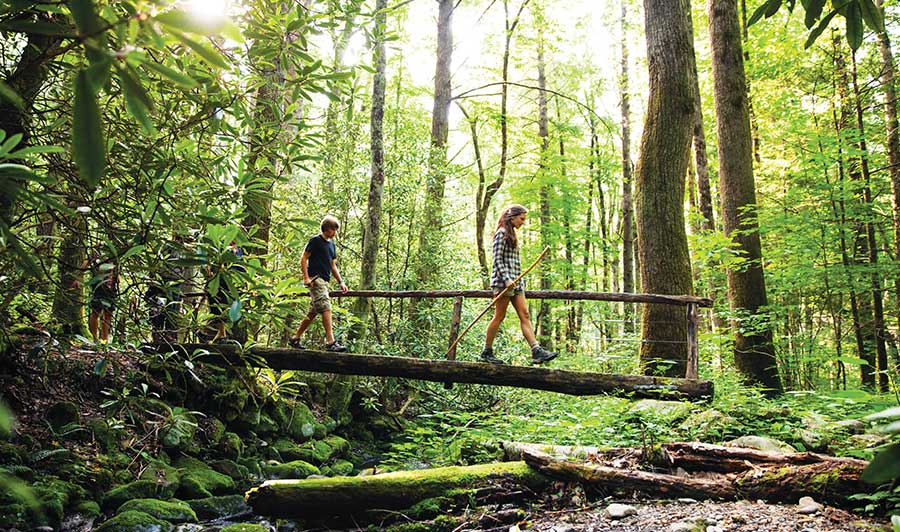 Wunderschöne Wanderwege im Great Smoky Mountains National Park