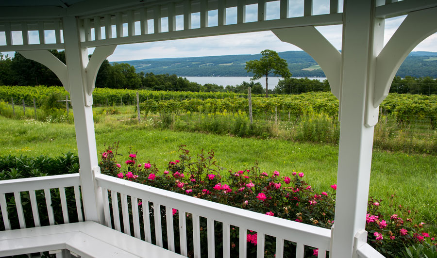 Finger Lakes | Finger Lakes: Lakewood Vineyard am Seneca Lake